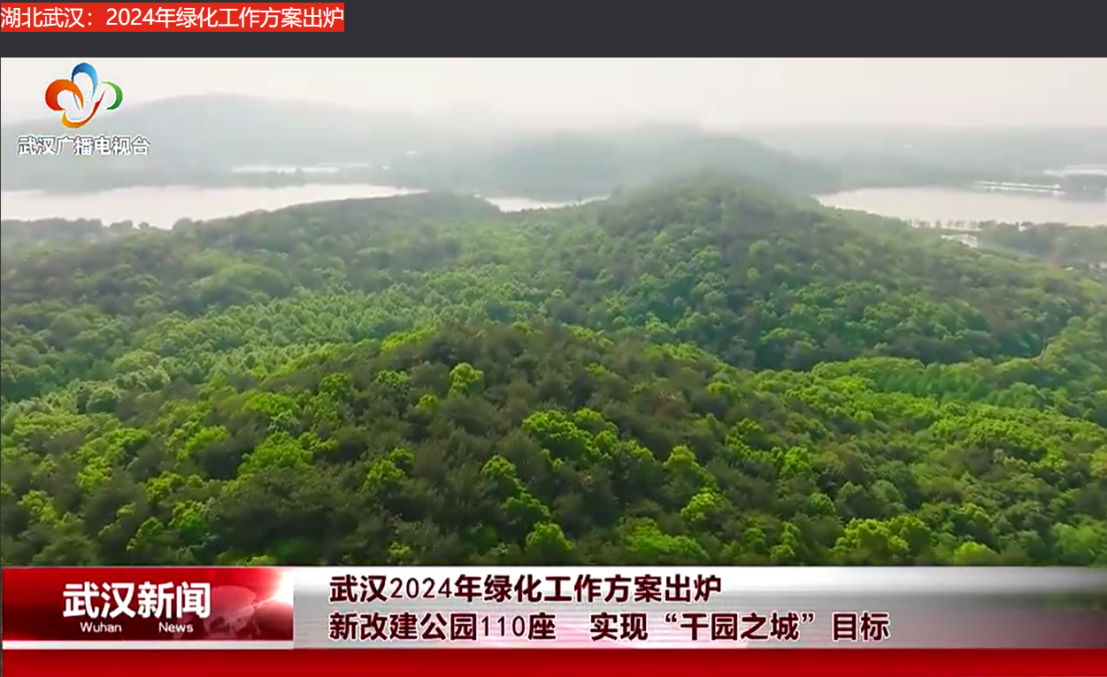 拓展资源3