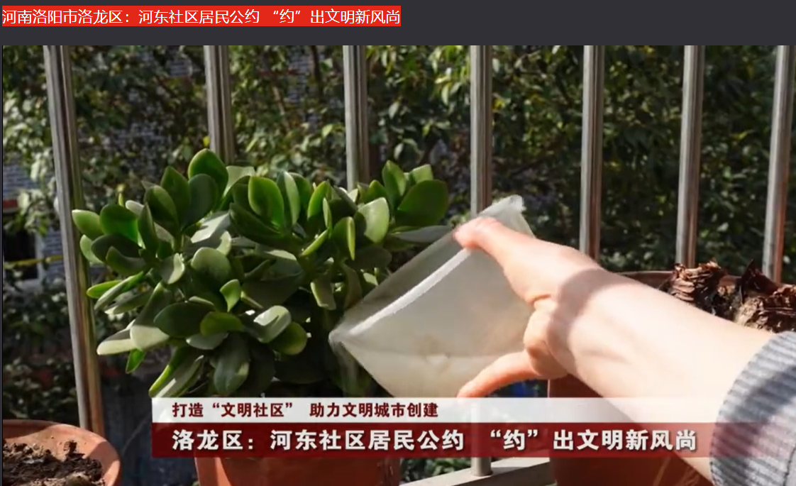 拓展资源3